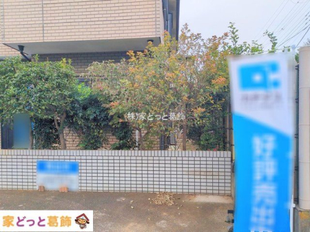 ���n�O�ώʐ^ �B�e��(2025-11-13 00:00:00)