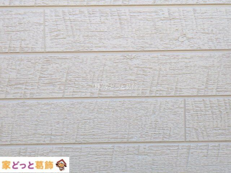 ���n�O�ώʐ^ �B�e��(2025-11-17 00:00:00)