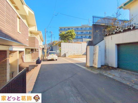 ���n�O�ώʐ^ �B�e��(2025-11-17)