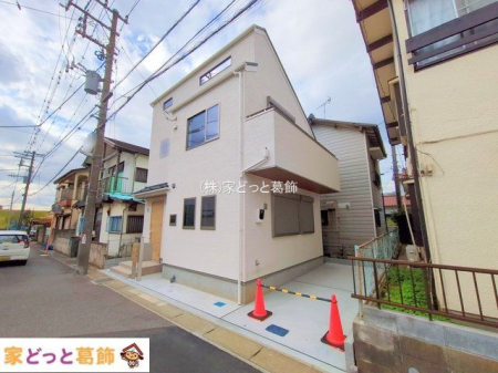 ���n�O�ώʐ^ �B�e��(2025-11-18 00:00:00)