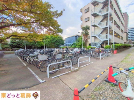 ���n�O�ώʐ^ �B�e��(2025-10-31 00:00:00)