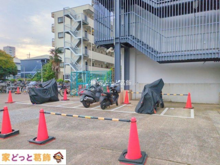 ���n�O�ώʐ^ �B�e��(2025-10-31 00:00:00)