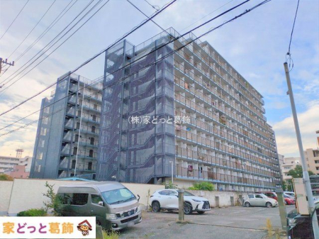 ���n�O�ώʐ^ �B�e��(2025-10-31)