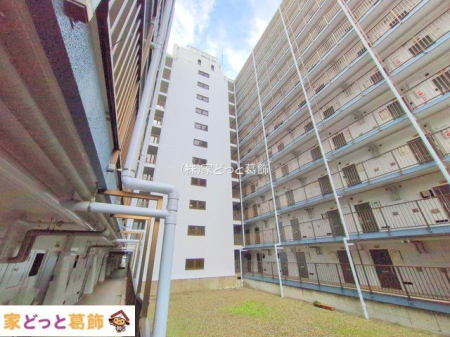 ���n�O�ώʐ^ �B�e��(2025-10-31 00:00:00)