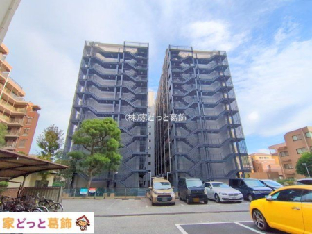 ���n�O�ώʐ^ �B�e��(2025-10-31 00:00:00)