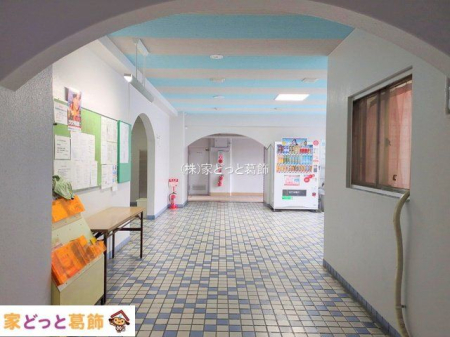 ���n�O�ώʐ^ �B�e��(2025-10-31 00:00:00)