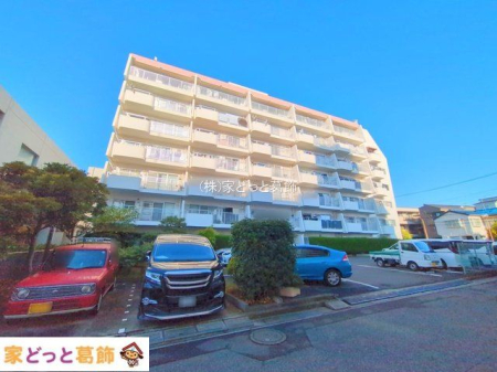 ���n�O�ώʐ^ �B�e��(2025-11-26 00:00:00)