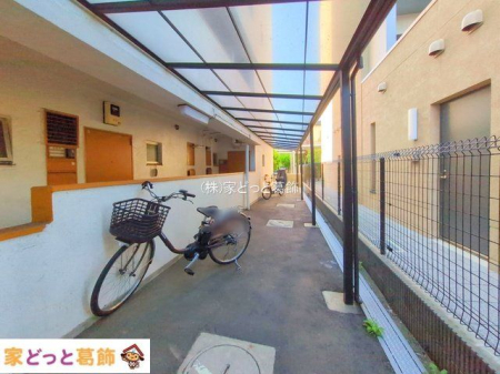 ���n�O�ώʐ^ �B�e��(2025-11-26 00:00:00)