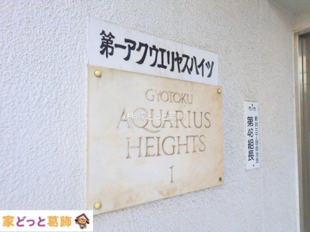 ���n�O�ώʐ^ �B�e��(2025-11-26 00:00:00)