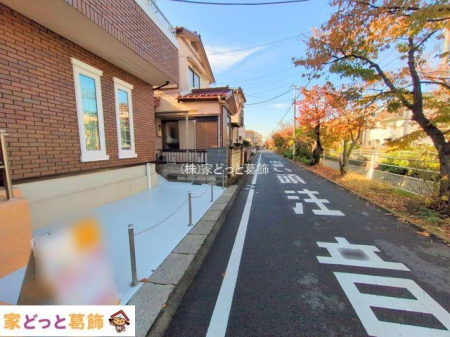 ���n�O�ώʐ^ �B�e��(2024-11-27 00:00:00)