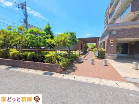 ���n�O�ώʐ^ �B�e��(2025-07-10 00:00:00)