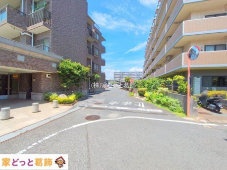 ���n�O�ώʐ^ �B�e��(2025-07-10 00:00:00)