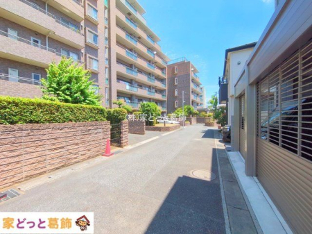 ���n�O�ώʐ^ �B�e��(2025-07-10 00:00:00)