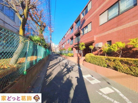 ���n�O�ώʐ^ �B�e��(2025-12-04 00:00:00)