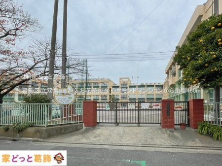 ���ӊ� �����旧�o�t���w�Z �B�e��(2023-12-05) 460m