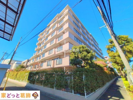 ���n�O�ώʐ^ �B�e��(2025-12-18 00:00:00)