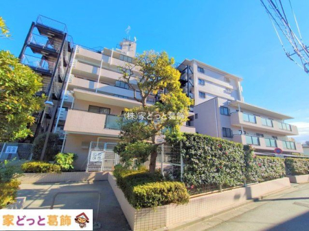 ���n�O�ώʐ^ �B�e��(2025-12-18)