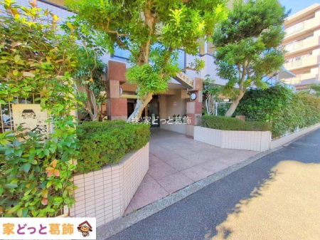 �G���g�����X �B�e��(2025-12-18)