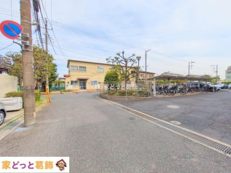 ���n�O�ώʐ^ �B�e��(2025-04-17 00:00:00)