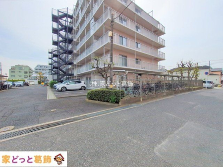 ���n�O�ώʐ^ �B�e��(2025-04-17 00:00:00)