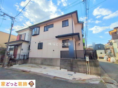 ���n�O�ώʐ^ �B�e��(2025-12-19 00:00:00)