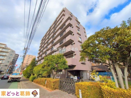 ���n�O�ώʐ^ �B�e��(2025-12-22 00:00:00)