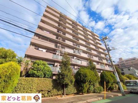 ���n�O�ώʐ^ �B�e��(2025-12-22 00:00:00)