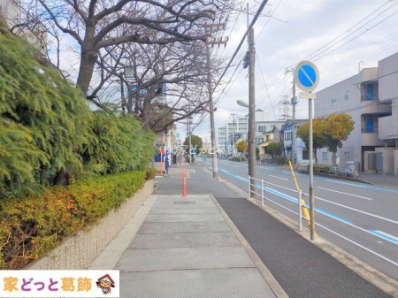 ���n�O�ώʐ^ �B�e��(2025-12-23 00:00:00)