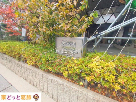 �G���g�����X �B�e��(2025-12-23 00:00:00)