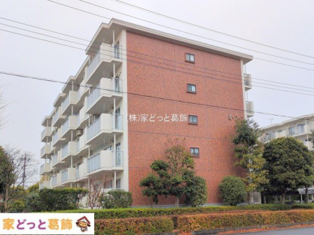 ���n�O�ώʐ^ �B�e��(2025-12-24 00:00:00)