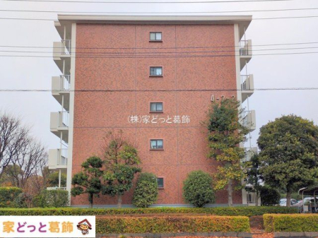 ���n�O�ώʐ^ �B�e��(2025-12-24 00:00:00)