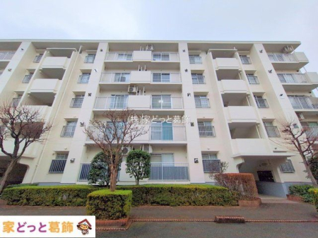 ���n�O�ώʐ^ �B�e��(2025-12-24 00:00:00)