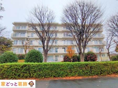 ���n�O�ώʐ^ �B�e��(2025-12-24 00:00:00)