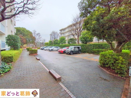 ���n�O�ώʐ^ �B�e��(2025-12-24 00:00:00)