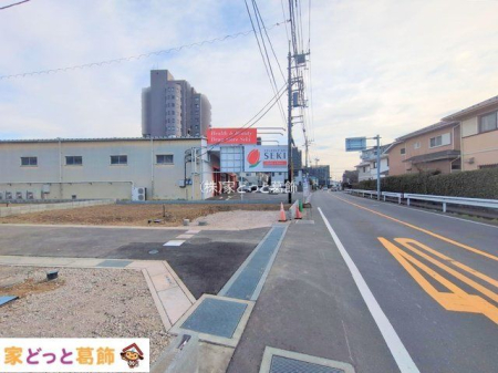 ���n�y�n�ʐ^ �B�e��(2025-12-11)