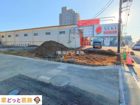 ���n�y�n�ʐ^ �B�e��(2025-11-17 00:00:00)