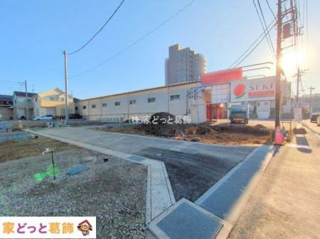 ���n�y�n�ʐ^ �B�e��(2025-11-17 00:00:00)