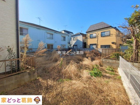 ���n�y�n�ʐ^ �B�e��(2026-01-06 00:00:00)