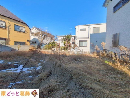 ���n�y�n�ʐ^ �B�e��(2026-01-06 00:00:00)