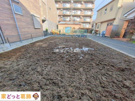 ���n�O�ώʐ^ �B�e��(2026-01-05 00:00:00)