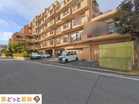 ���n�O�ώʐ^ �B�e��(2026-01-05 00:00:00)