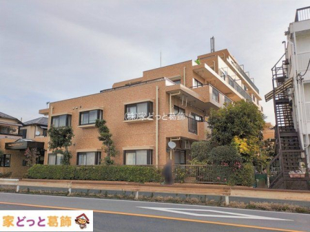 ���n�O�ώʐ^ �B�e��(2026-01-05)