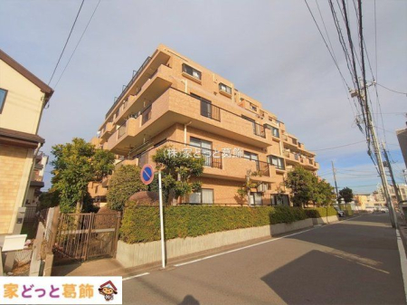 ���n�O�ώʐ^ �B�e��(2026-01-05 00:00:00)