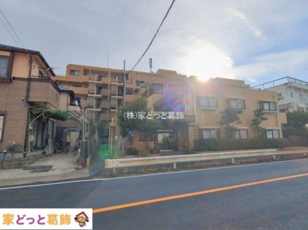 ���n�O�ώʐ^ �B�e��(2026-01-05 00:00:00)