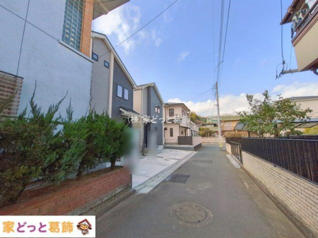 ���n�O�ώʐ^ �B�e��(2026-01-19)