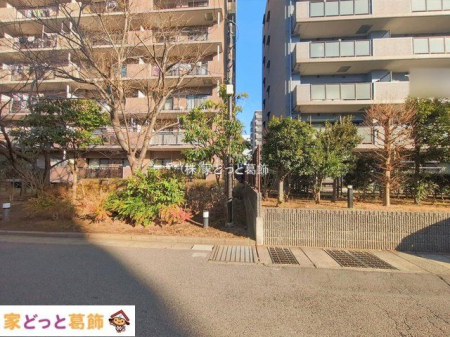 ���n�O�ώʐ^ �B�e��(2026-01-13 00:00:00)