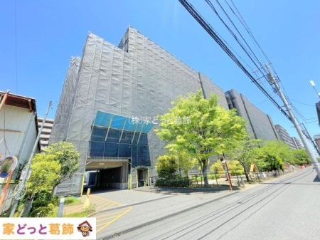 ���n�O�ώʐ^ �B�e��(2024-05-03 00:00:00)