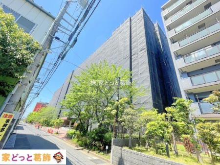 ���n�O�ώʐ^ �B�e��(2024-05-03 00:00:00)