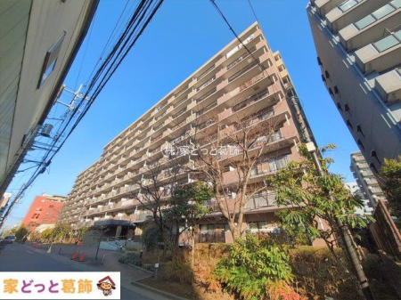 ���n�O�ώʐ^ �B�e��(2026-01-13)