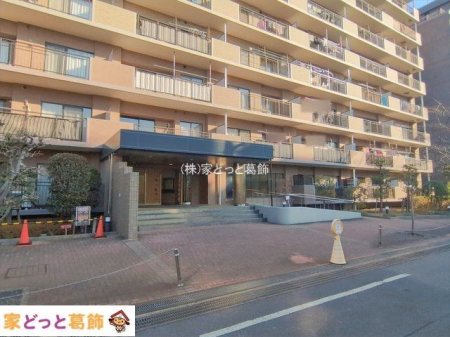 �G���g�����X �B�e��(2026-01-13 00:00:00)